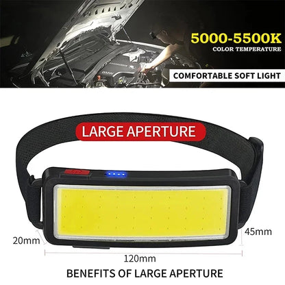 WideBeam Head